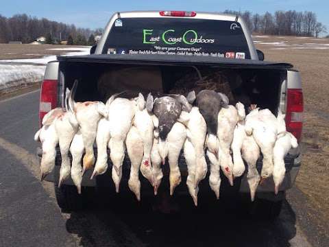 Jobs in Spring Snow Goose Hunting NY - reviews